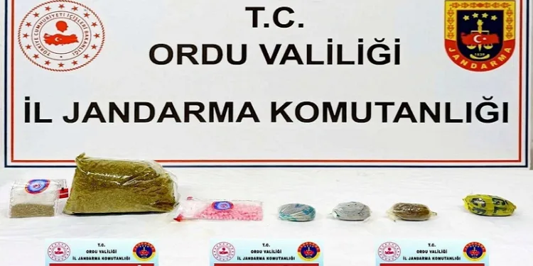 Ordu’da Jandarma KOM ekiplerinin 5 aylık faaliyeti açıklandı: 13 tutuklama