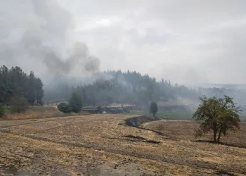Denizli’deki yangın yerleşim alanlarından uzaklaştı