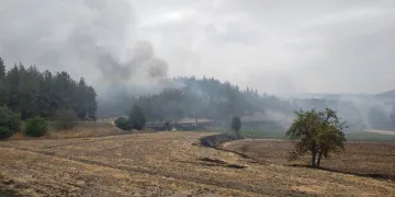 Denizli’deki yangın yerleşim alanlarından uzaklaştı