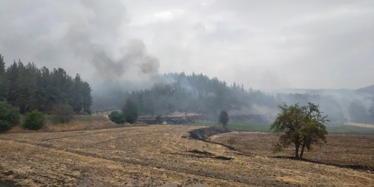 Denizli’deki yangın yerleşim alanlarından uzaklaştı