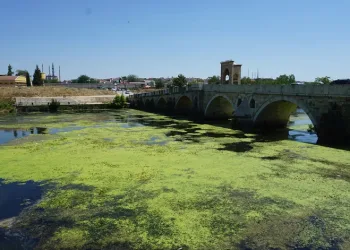 Edirne’de Tunca Nehri yeşile büründü