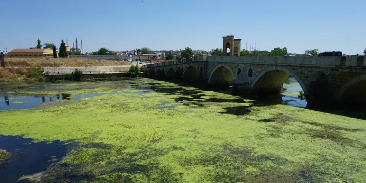 Edirne’de Tunca Nehri yeşile büründü