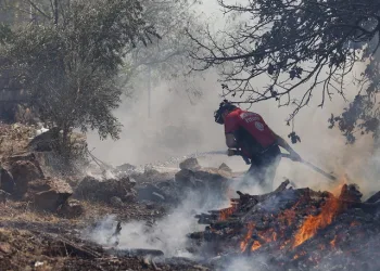 Mersin itfaiyesi sıcak hava nedeniyle çıkabilecek yangınlara karşı uyarıda bulundu