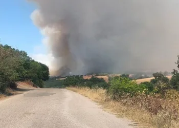 Balıkesir Bigadiç’te arazi yangını