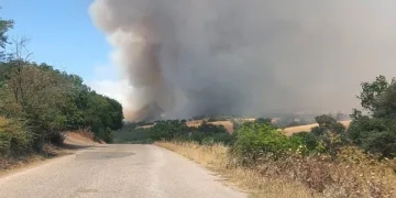 Balıkesir Bigadiç’te arazi yangını