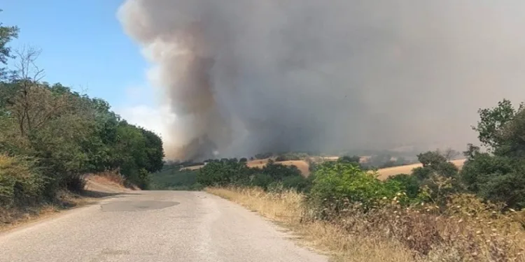 Balıkesir Bigadiç’te arazi yangını