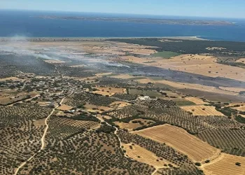 Ezine’de tarım arazisinde başlayan yangın ormanlık alana sıçramadan kontrol altına alındı