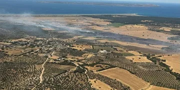 Ezine’de tarım arazisinde başlayan yangın ormanlık alana sıçramadan kontrol altına alındı