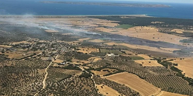 Ezine’de tarım arazisinde başlayan yangın ormanlık alana sıçramadan kontrol altına alındı