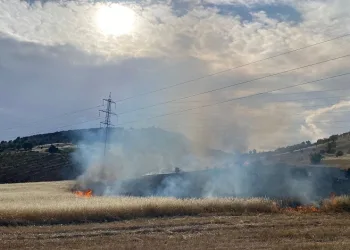 Gölbaşı ilçesinde arpa tarlası yandı