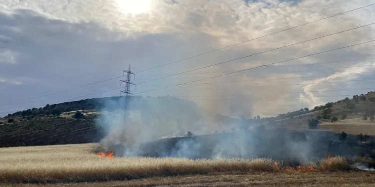 Gölbaşı ilçesinde arpa tarlası yandı