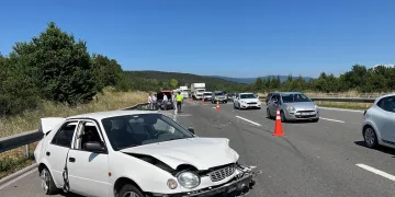 TEM’de alkollü sürücü ortalığı birbirine kattı