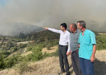Bursa’daki orman yangınına havadan müdahale sürüyor