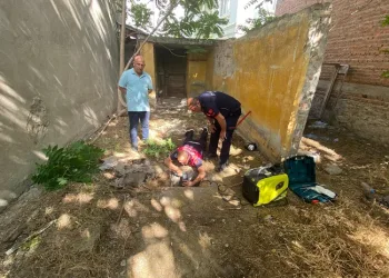 Atık su borusunda mahsur kalan yavru köpekleri itfaiyeciler kurtardı