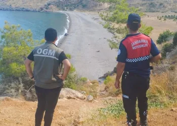 Ormanlık alanlar denetleniyor