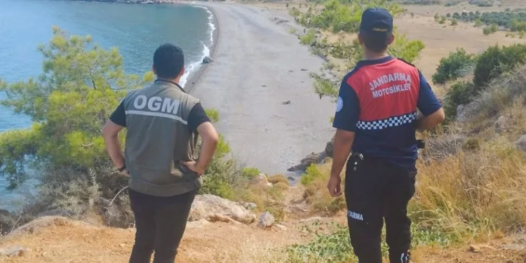 Ormanlık alanlar denetleniyor