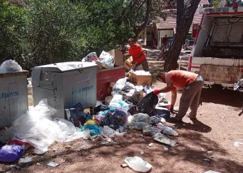 Ayvalık’ta belediye ekipleri 4 günde 3 bin 660 ton çöp topladı