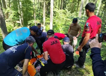 9 gündür kayıp olarak aranan kadın, ormanlık alanda bulundu