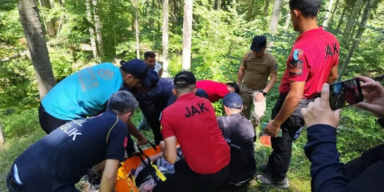 9 gündür kayıp olarak aranan kadın, ormanlık alanda bulundu