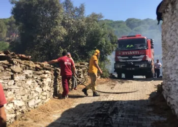 Koçarlı’daki yangın kontrol altına alındı