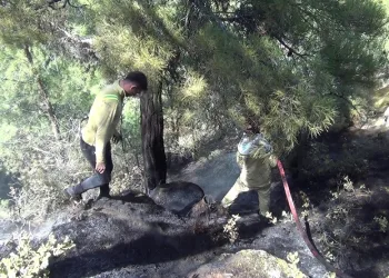 Oğuzlar’da orman yangını