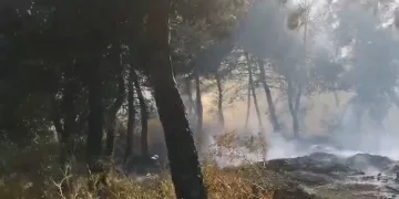 Savaştepe’de arazi yangını ormana sıçradı