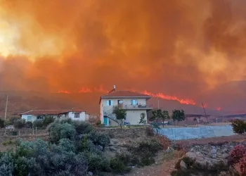 Manisa’daki orman yangını evleri tehdit etti