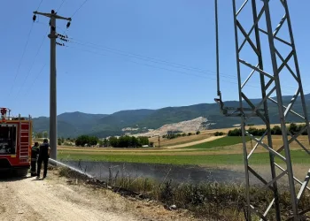 Trafodan çıkan kıvılcımlar arpa ekili tarlayı yaktı