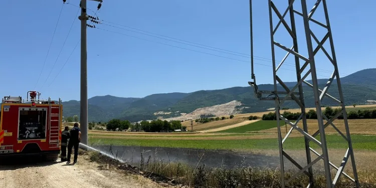Trafodan çıkan kıvılcımlar arpa ekili tarlayı yaktı
