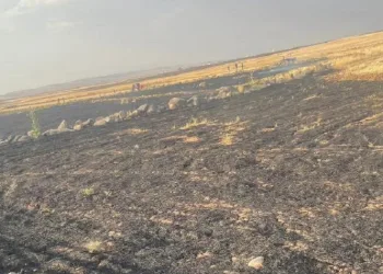 7 köye sıçrayan anız yangını kontrol altına alındı