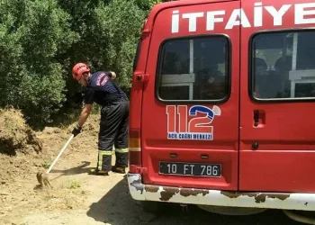 Çukura düşen yavru domuzun imdadına itfaiye yetişti