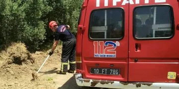 Çukura düşen yavru domuzun imdadına itfaiye yetişti