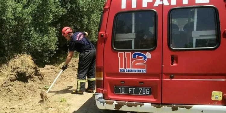 Çukura düşen yavru domuzun imdadına itfaiye yetişti