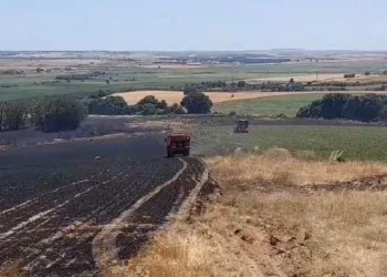 Edirne’de tarım arazisinde başlayan yangın ormana sıçramadan kontrol altına alındı