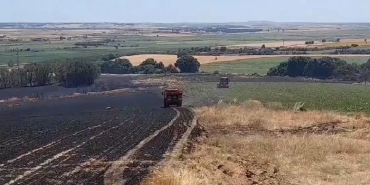 Edirne’de tarım arazisinde başlayan yangın ormana sıçramadan kontrol altına alındı