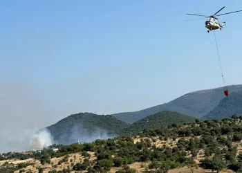 Balıkesir’de arazide başlayan yangın ormanlık alana sıçradı