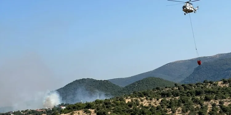 Balıkesir’de arazide başlayan yangın ormanlık alana sıçradı