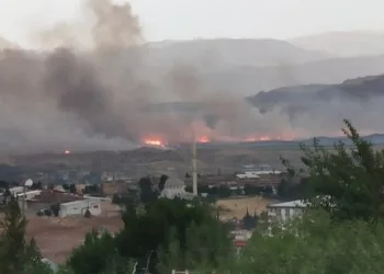 Siirt Havaalanı yakınlarında anız yangını