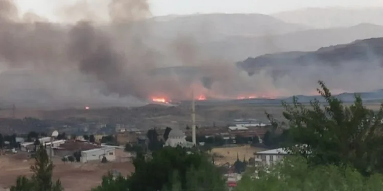 Siirt Havaalanı yakınlarında anız yangını