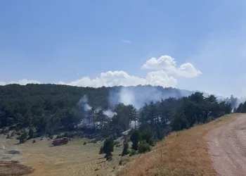 Kütahya’da orman yangını kontrol altına alındı