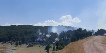 Kütahya’da orman yangını kontrol altına alındı