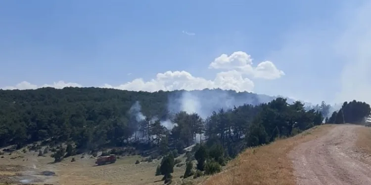 Kütahya’da orman yangını kontrol altına alındı