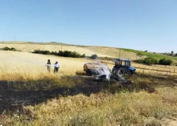 Buğday tarlasında yangın