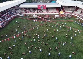 663. Tarihi Kırkpınar Yağlı Güreşleri öncesi kriz!