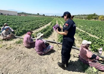 Tarım işçisi kadınlara KADES uygulaması yükletildi