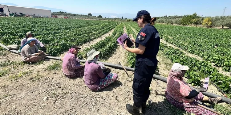 Tarım işçisi kadınlara KADES uygulaması yükletildi