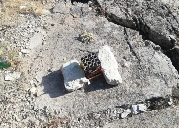Havai fişek yangına neden oldu