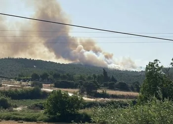 Biga’daki orman yangını kontrol altına alındı