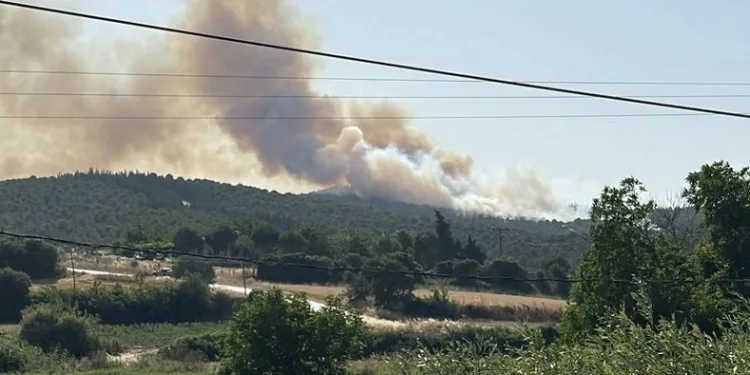 Biga’daki orman yangını kontrol altına alındı