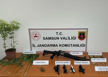 Jandarmadan uyuşturucu ve silah operasyonu